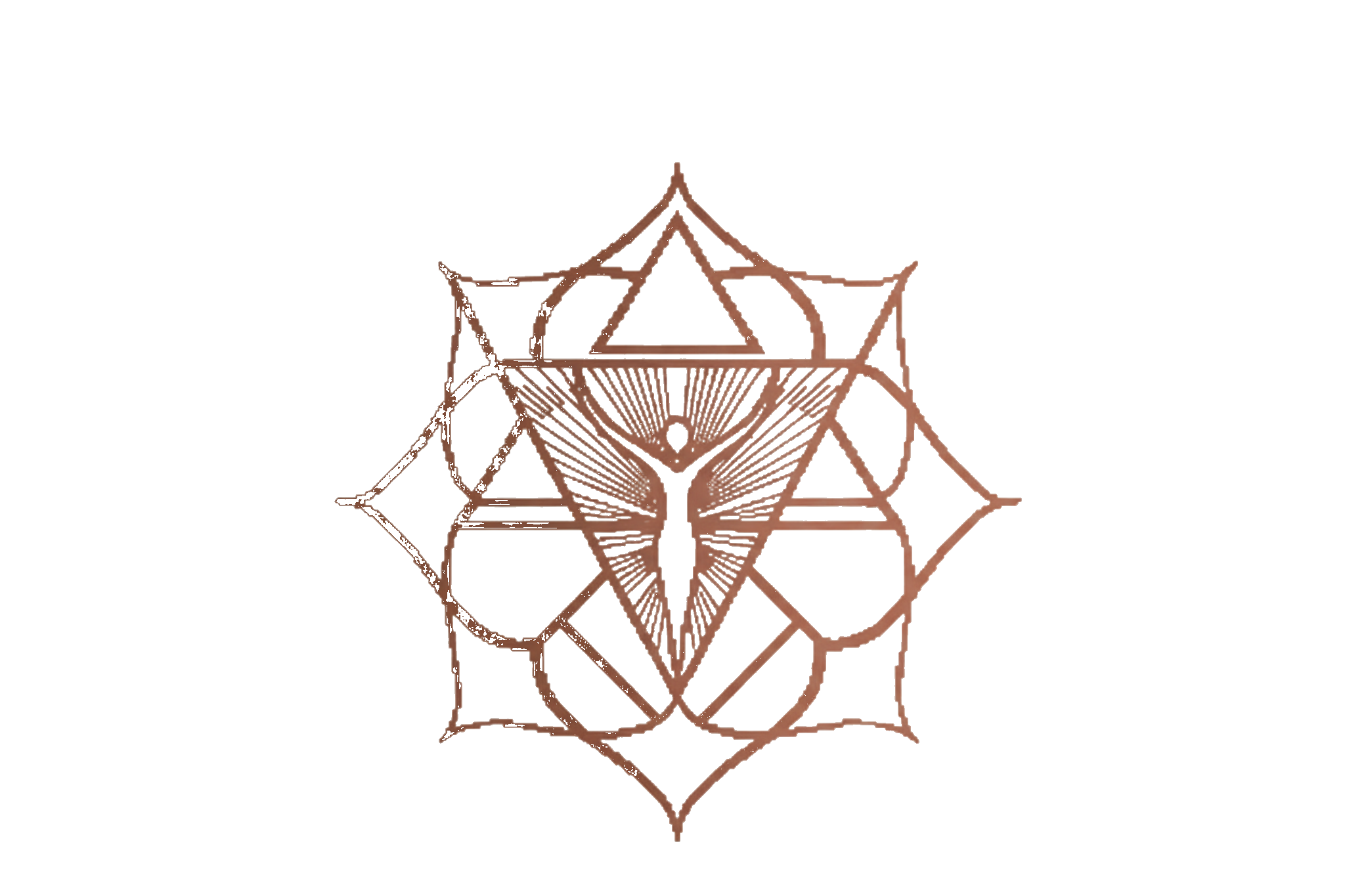 The Science of Beauty